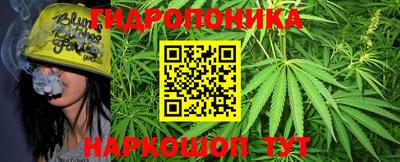 скорость Жуковский