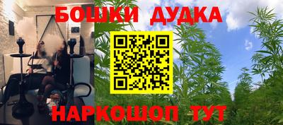 a pvp Заволжье