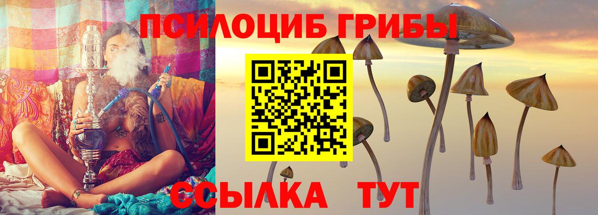 Псилоцибиновые грибы мицелий Нарьян-Мар